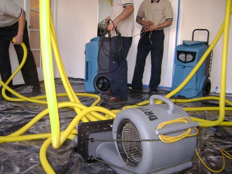 Carpet Cleaning Epping